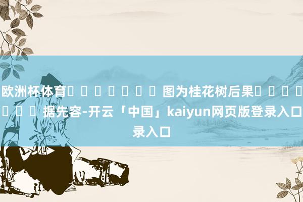 欧洲杯体育							图为桂花树后果							据先容-开云「中国」kaiyun网页版登录入口