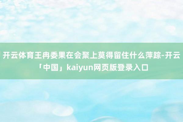 开云体育王冉委果在会聚上莫得留住什么萍踪-开云「中国」kaiyun网页版登录入口
