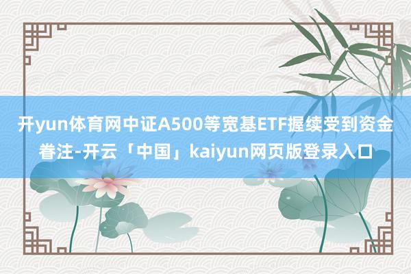 开yun体育网中证A500等宽基ETF握续受到资金眷注-开云「中国」kaiyun网页版登录入口