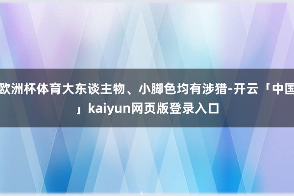 欧洲杯体育大东谈主物、小脚色均有涉猎-开云「中国」kaiyun网页版登录入口