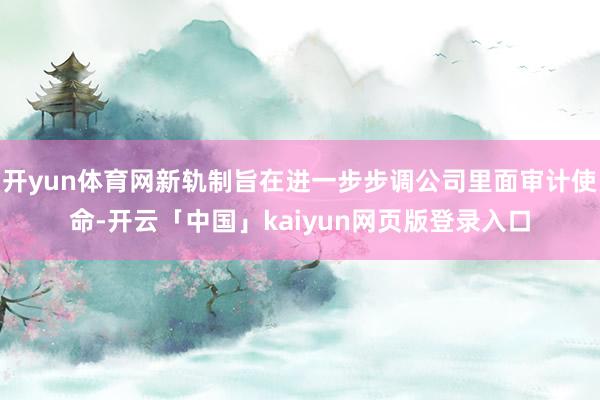 开yun体育网新轨制旨在进一步步调公司里面审计使命-开云「中国」kaiyun网页版登录入口
