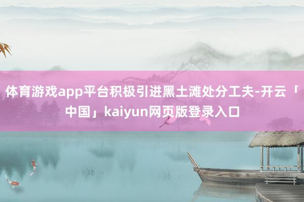体育游戏app平台积极引进黑土滩处分工夫-开云「中国」kaiyun网页版登录入口