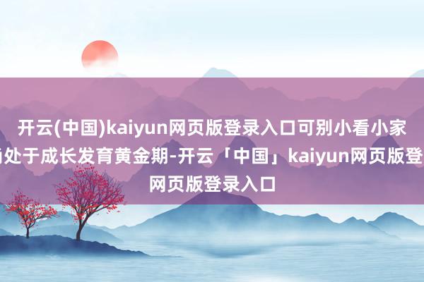 开云(中国)kaiyun网页版登录入口可别小看小家伙们尚处于成长发育黄金期-开云「中国」kaiyun网页版登录入口
