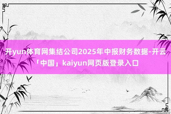开yun体育网集结公司2025年中报财务数据-开云「中国」kaiyun网页版登录入口