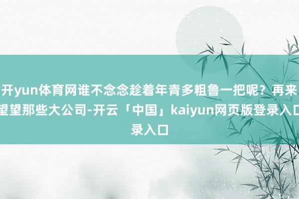 开yun体育网谁不念念趁着年青多粗鲁一把呢？再来望望那些大公司-开云「中国」kaiyun网页版登录入口