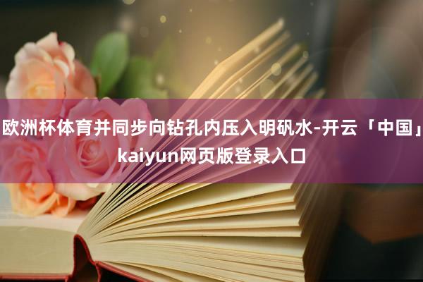欧洲杯体育并同步向钻孔内压入明矾水-开云「中国」kaiyun网页版登录入口