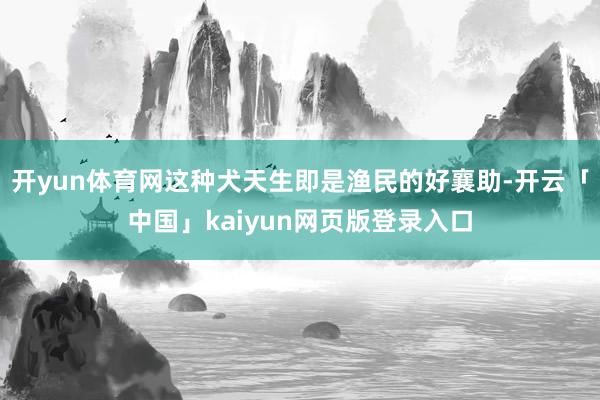 开yun体育网这种犬天生即是渔民的好襄助-开云「中国」kaiyun网页版登录入口