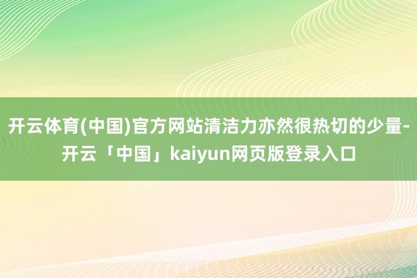 开云体育(中国)官方网站清洁力亦然很热切的少量-开云「中国」kaiyun网页版登录入口